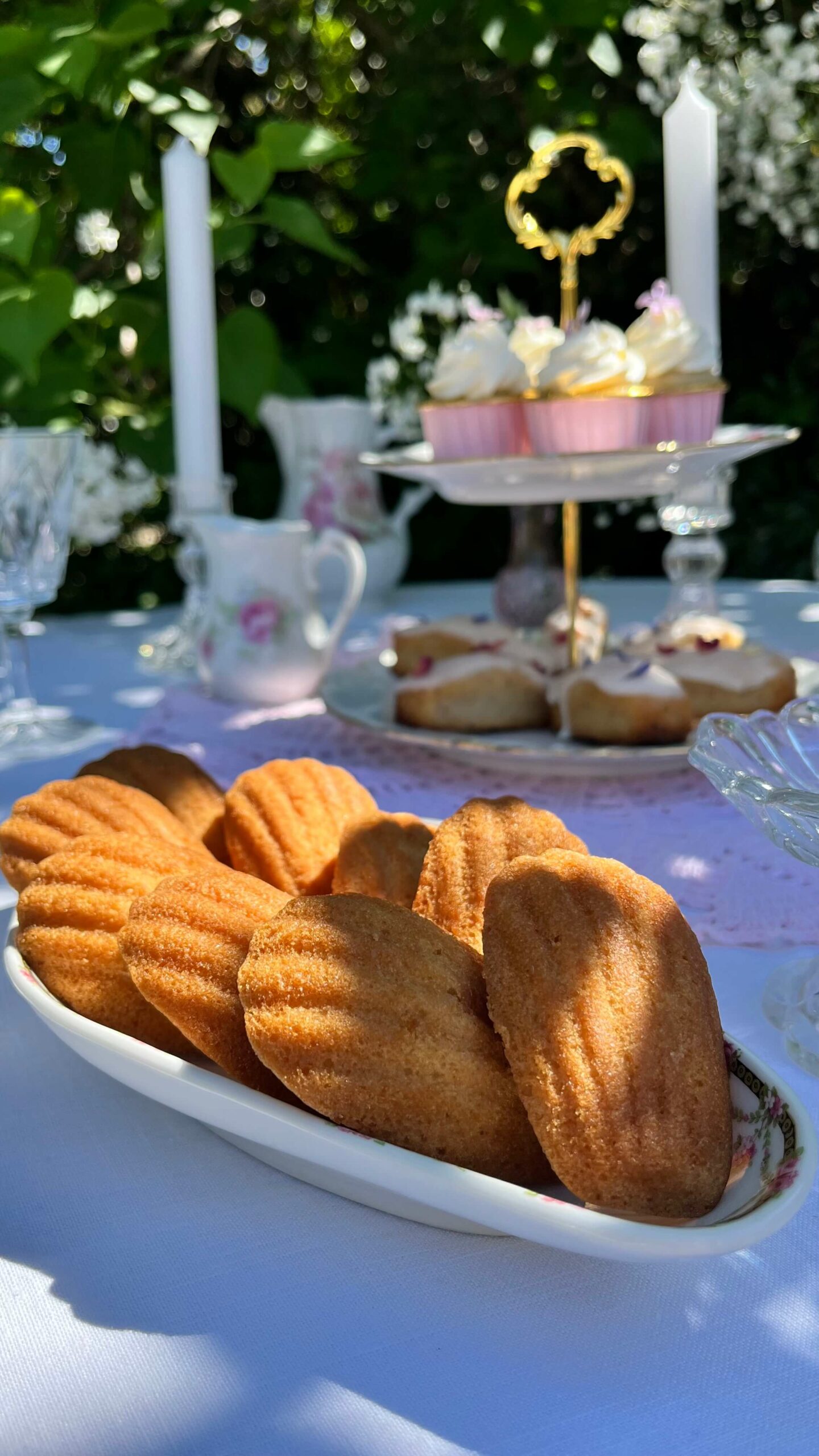 Rose Tea Time